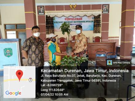 Penyaluran Program Ketahanan Pangan Nabati Desa Baruharjo Tahun Anggran 2022